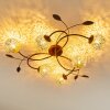 VIRGA ceiling light brown, 6-light sources