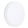 Eglo MONGODIO 1 Wall and Ceiling Light LED white, 1-light source