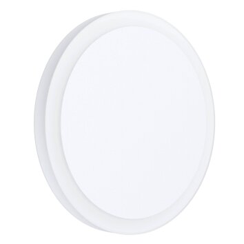 Eglo MONGODIO 1 Wall and Ceiling Light LED white, 1-light source