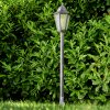 Lignac outdoor Floor Lamp black, silver, 1-light source