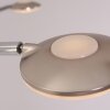 Steinhauer MEXLITE Floor Lamp LED stainless steel, 5-light sources