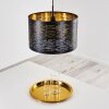 Bathinda Pendant Light black, 1-light source