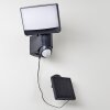 LARVIK Outdoor Wall Light LED anthracite, 1-light source, Motion sensor