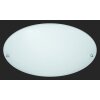Trio 6196 ceiling light aluminium, white, 1-light source