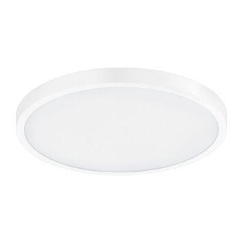 EGLO FUEVA-A light LED white, 1-light source, Remote control