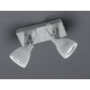 Trio CONCRETE spotlight LED grey, 2-light sources