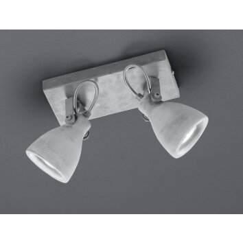 Trio CONCRETE spotlight LED grey, 2-light sources