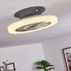 SOMALIA ceiling fan LED silver, transparent, clear, 1-light source