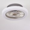 SOMALIA ceiling fan LED silver, transparent, clear, 1-light source