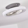 SOMALIA ceiling fan LED silver, transparent, clear, 1-light source