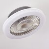 SOMALIA ceiling fan LED silver, transparent, clear, 1-light source
