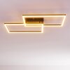 CHEKA Ceiling Light LED black, 2-light sources, Remote control