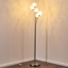 Bernado Floor Lamp matt nickel, 5-light sources