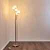 Bernado Floor Lamp matt nickel, 5-light sources