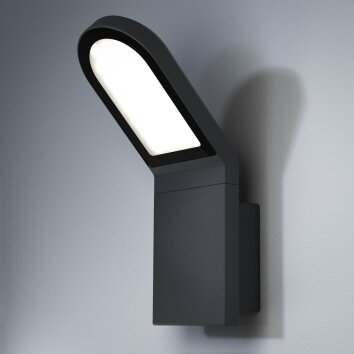 Osram ENDURA Outdoor Wall Light LED grey, 1-light source