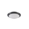 Reality CAMARO Outdoor Ceiling Light anthracite, 2-light sources