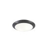 Reality CAMARO Outdoor Ceiling Light anthracite, 2-light sources