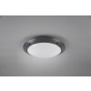 Reality CAMARO Outdoor Ceiling Light anthracite, 2-light sources
