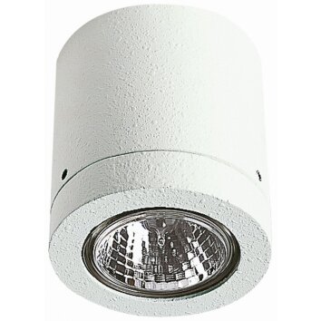 Albert 2140 ceiling light white, 1-light source