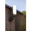 Lutec BATI Outdoor Wall Light LED anthracite, 1-light source, Motion sensor