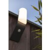 Lutec BATI Outdoor Wall Light LED anthracite, 1-light source, Motion sensor