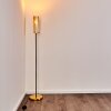Tegna Floor Lamp black-gold, 1-light source