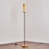 Tegna Floor Lamp black-gold, 1-light source