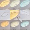 CIRQUE Ceiling light LED chrome, 1-light source, Remote control, Colour changer