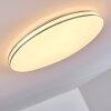 Genthin Ceiling Light LED white, 1-light source, Remote control