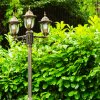 Ribadeo Lamp Post black-gold, 3-light sources