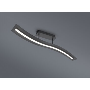 Trio SALERNO Ceiling Light LED black, 1-light source