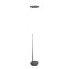 Steinhauer ZENITH Floor Lamp LED stainless steel, 1-light source