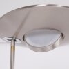 Steinhauer ZENITH Floor Lamp LED stainless steel, 1-light source