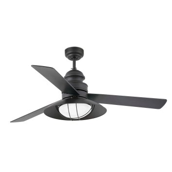 Faro Barcelona Winch Ceiling Fan with Lighting brown, 2-light sources
