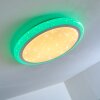 Lowell Ceiling light LED white, 2-light sources, Remote control, Colour changer