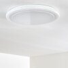 Lowell Ceiling light LED white, 2-light sources, Remote control, Colour changer