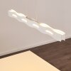 NAGOLD Pendant Light LED white, 1-light source