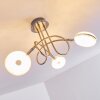 Donot Ceiling Light LED matt nickel, 3-light sources