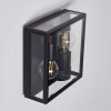 MINAKATA Outdoor Wall Light black, 2-light sources