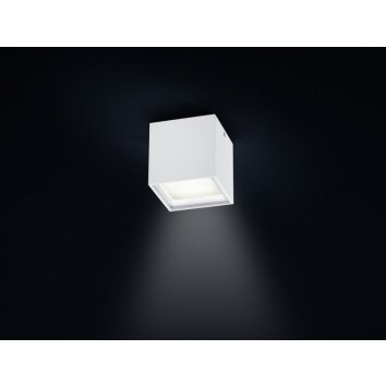 Helestra SIRI LED ceiling light white, 1-light source