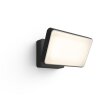 Philips HUE WHITE WELCOME Floodlight LED black, 1-light source, Colour changer