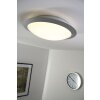 Trio 6265 ceiling light LED titanium, white, 1-light source