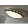 Trio 6265 ceiling light LED titanium, white, 1-light source