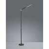 Trio FILIGRAN Floor Lamp LED black, 1-light source