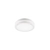 Reality KENDAL Outdoor Ceiling Light LED white, 1-light source