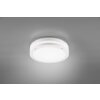 Reality KENDAL Outdoor Ceiling Light LED white, 1-light source