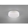 Reality KENDAL Outdoor Ceiling Light LED white, 1-light source