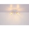 Globo BANA Spotlight brown, white, 2-light sources