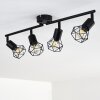 Baripada Ceiling Light black, 4-light sources