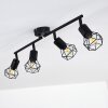 Baripada Ceiling Light black, 4-light sources